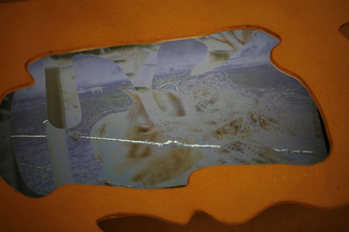 Echappée guère  / (Portrait de Dédale en fichènchip)