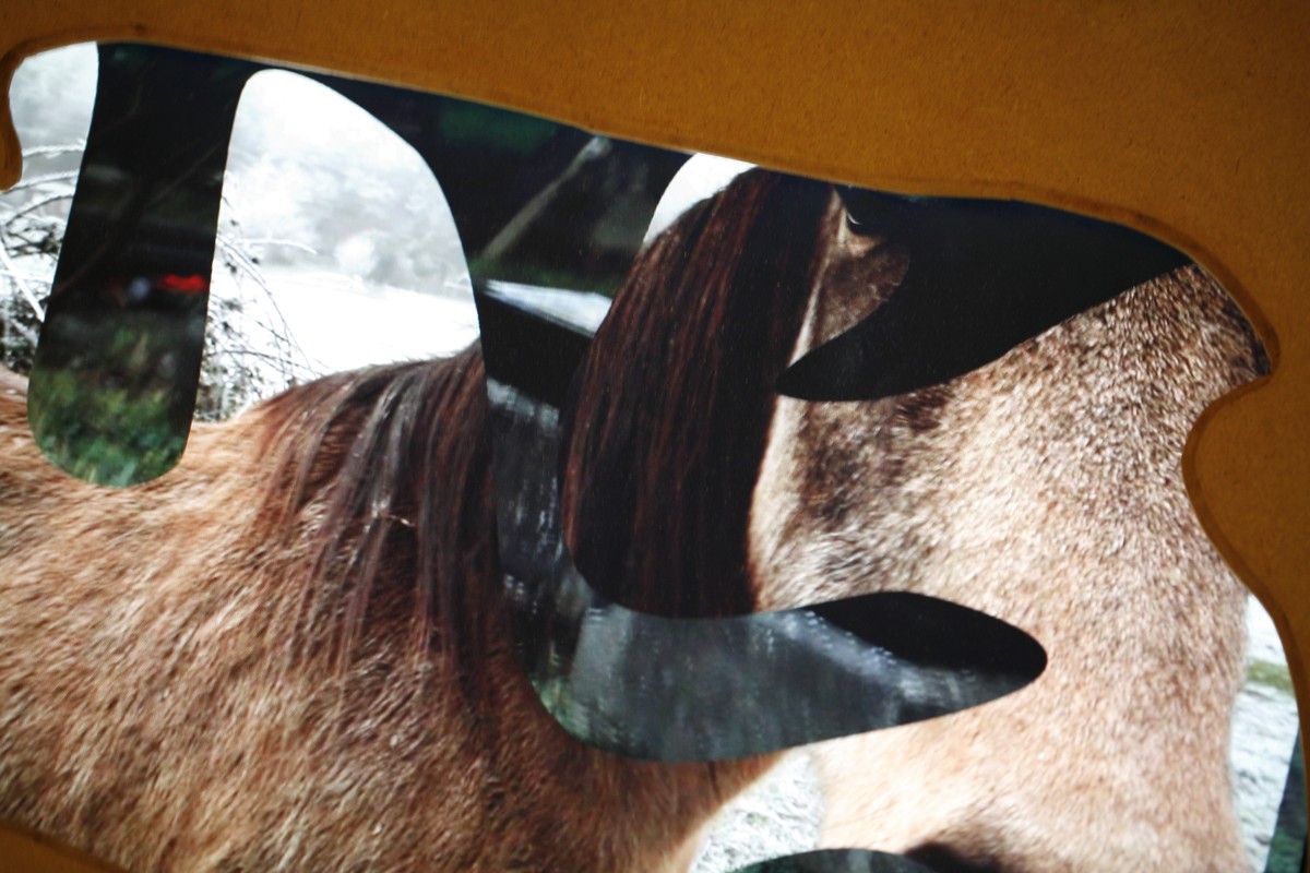 Echappée guère  / (Portrait de Dédale en fichènchip)