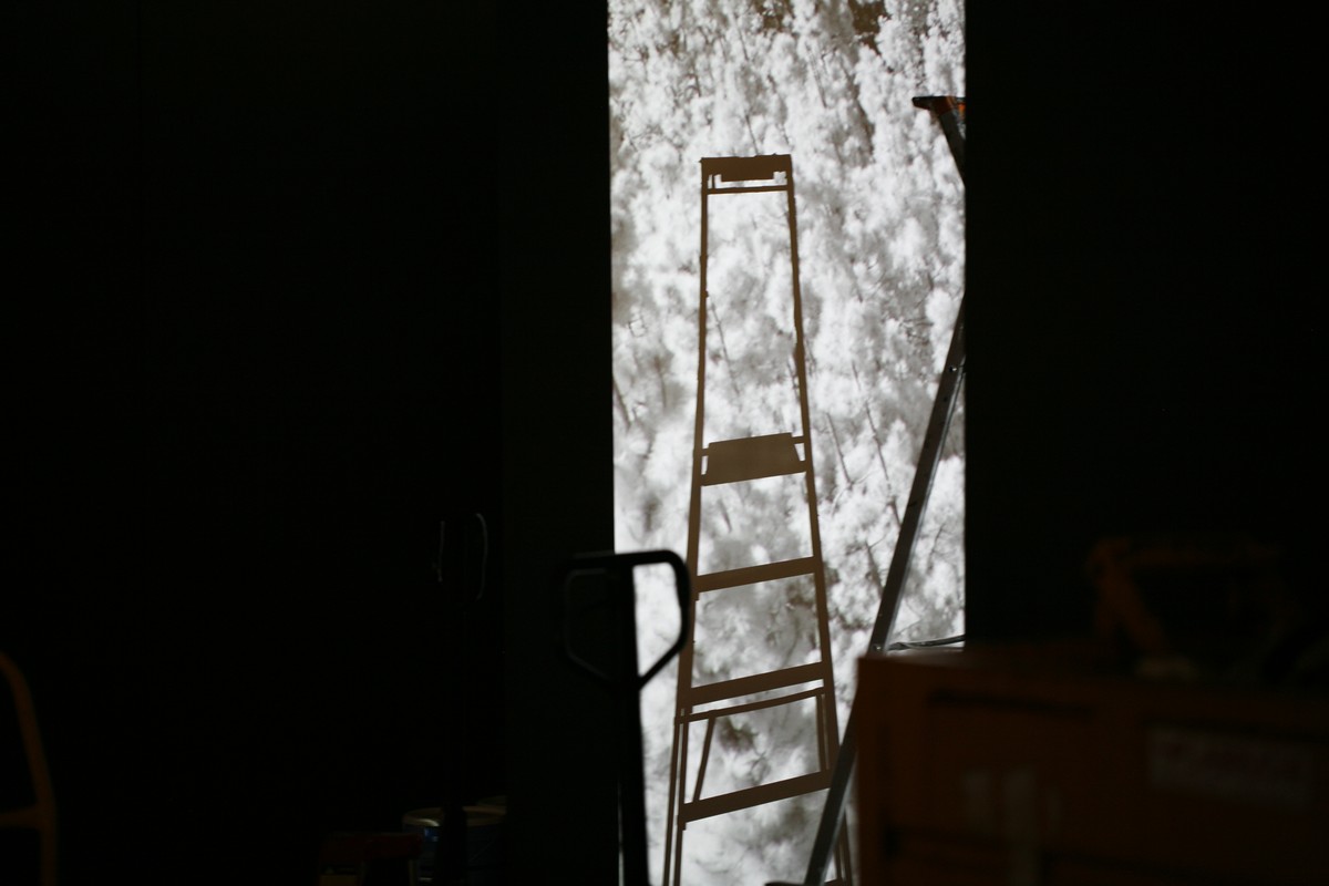 Echappée guère  / (Portrait de Dédale en fichènchip)