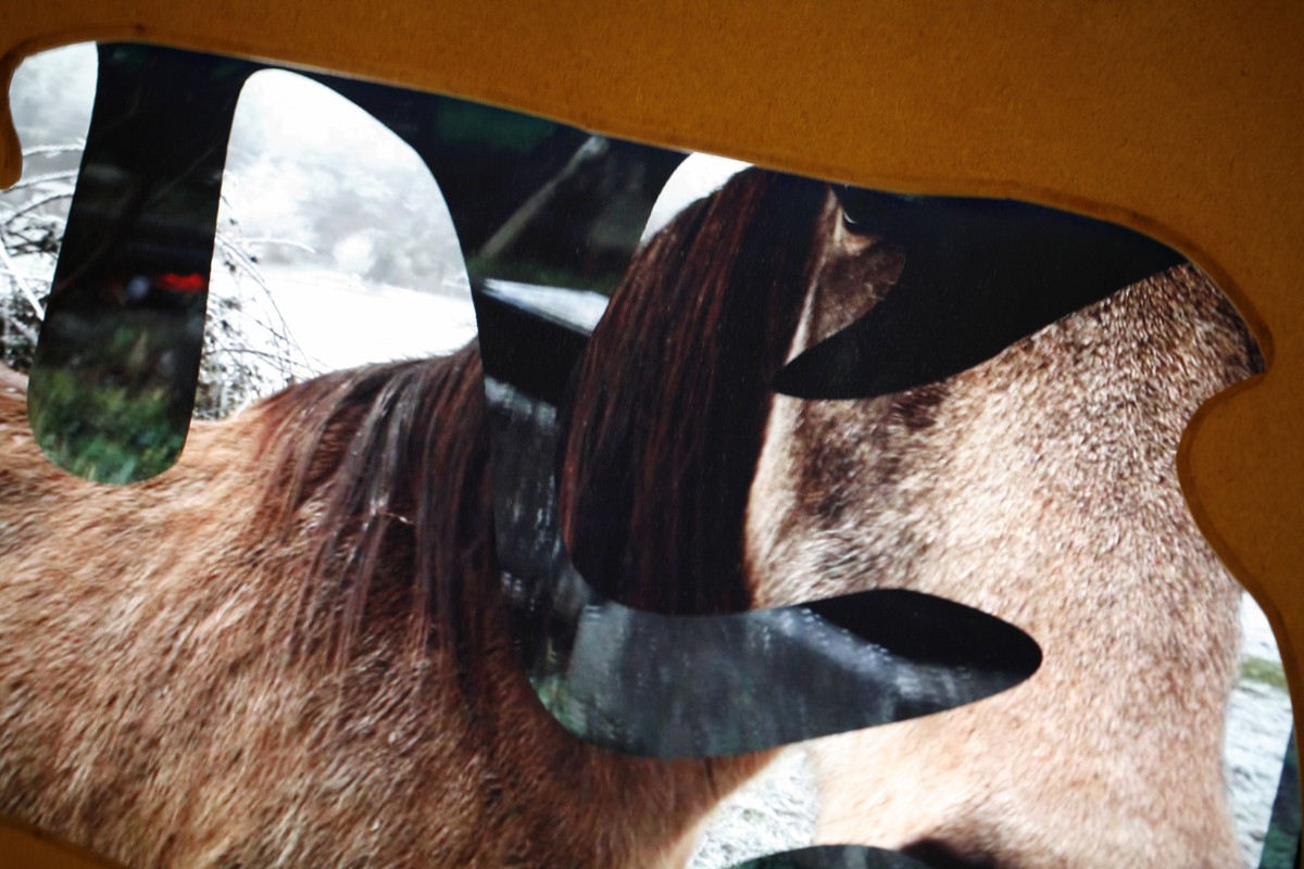 Echappée guère  / (Portrait de Dédale en fichènchip)