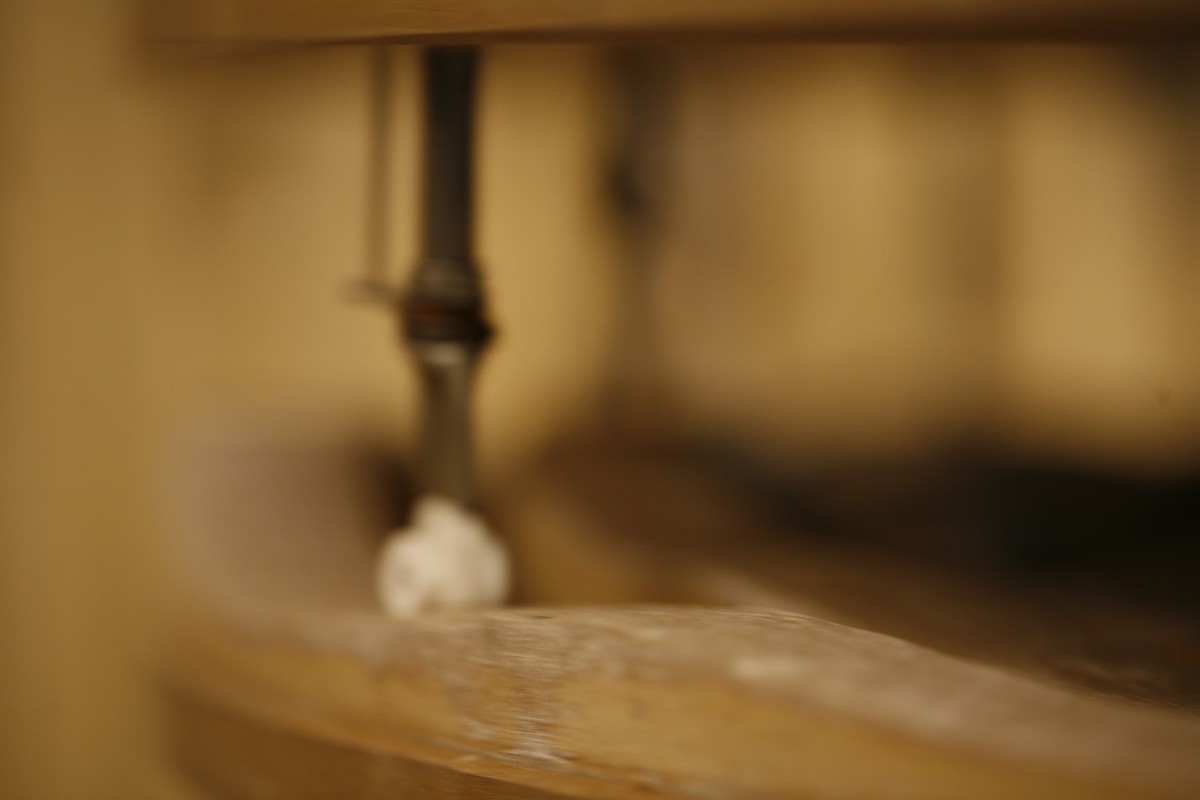 Echappée guère  / (Portrait de Dédale en fichènchip)