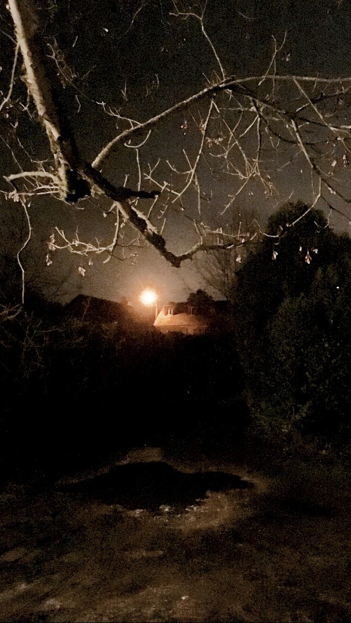 Mille images pour Le Fresnoy