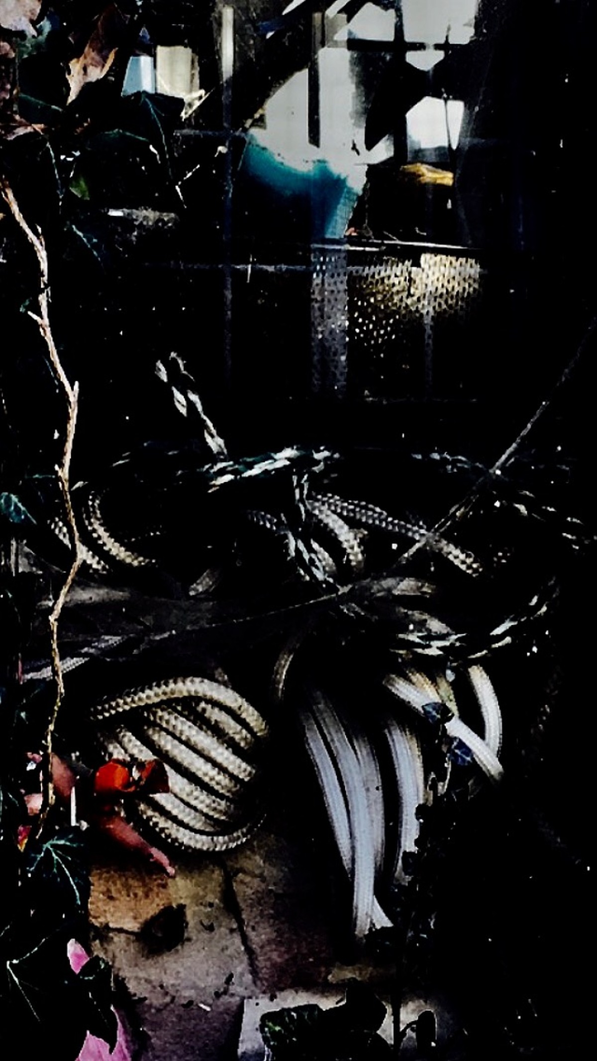 Mille images pour Le Fresnoy