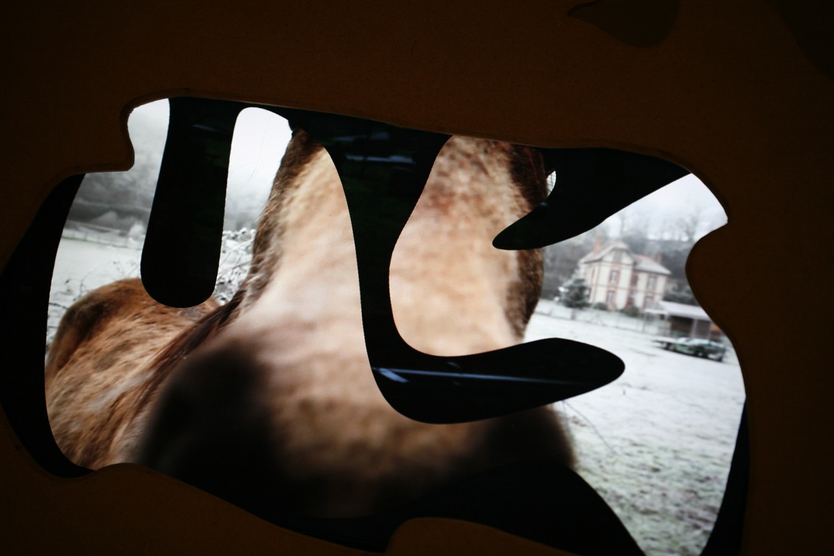 Echappée guère  / (Portrait de Dédale en fichènchip)