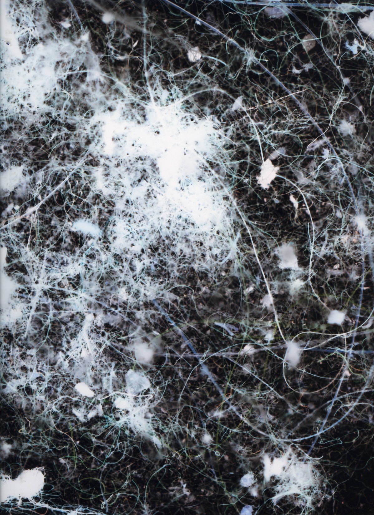 Ne jamais en faire un substantif