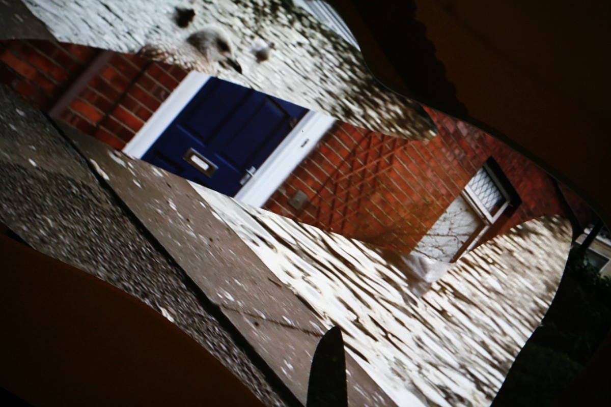 Echappée guère  / (Portrait de Dédale en fichènchip)