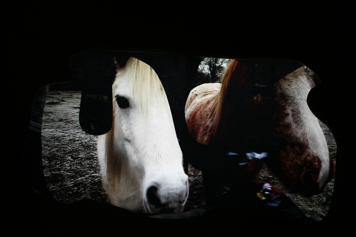 Echappée guère  / (Portrait de Dédale en fichènchip)