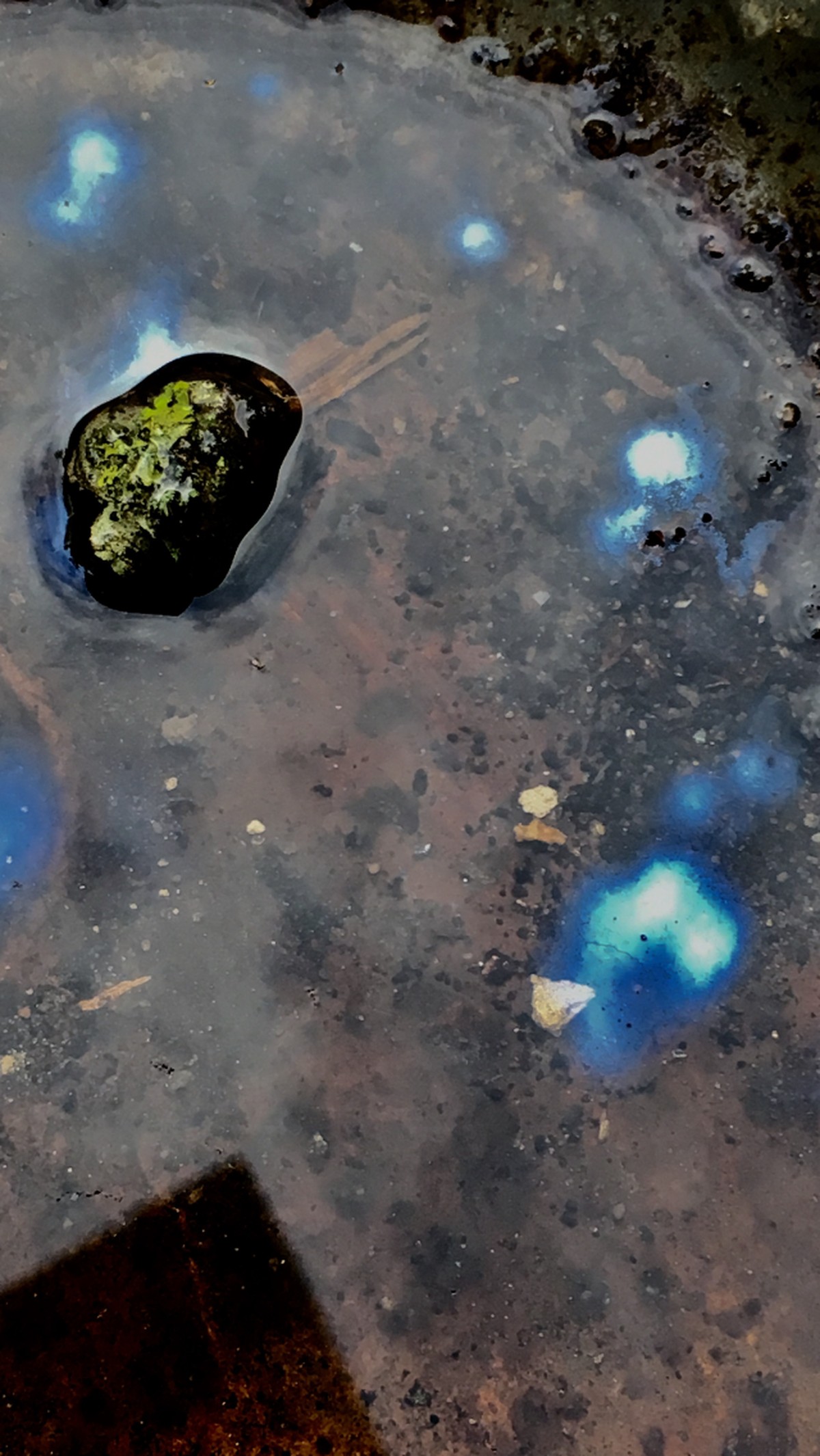 Mille images pour Le Fresnoy