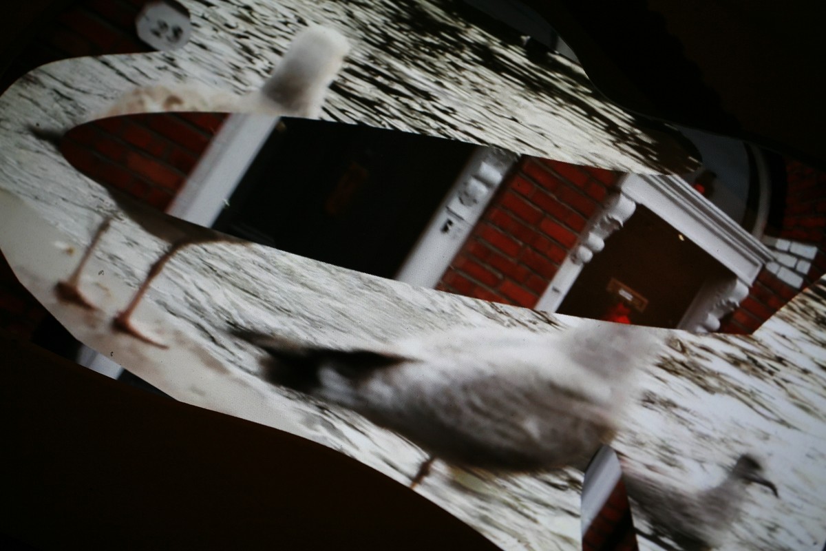 Echappée guère  / (Portrait de Dédale en fichènchip)