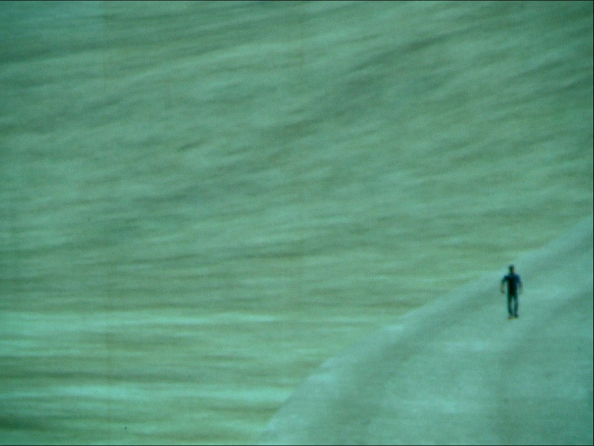 Why are they equipped with eyes?