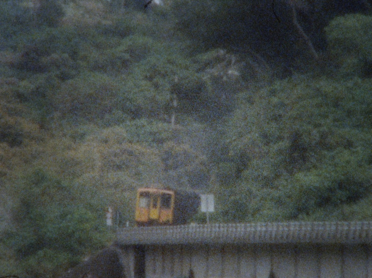 Last year when the train passed by