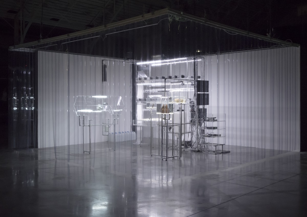 The Crystal & the Blind