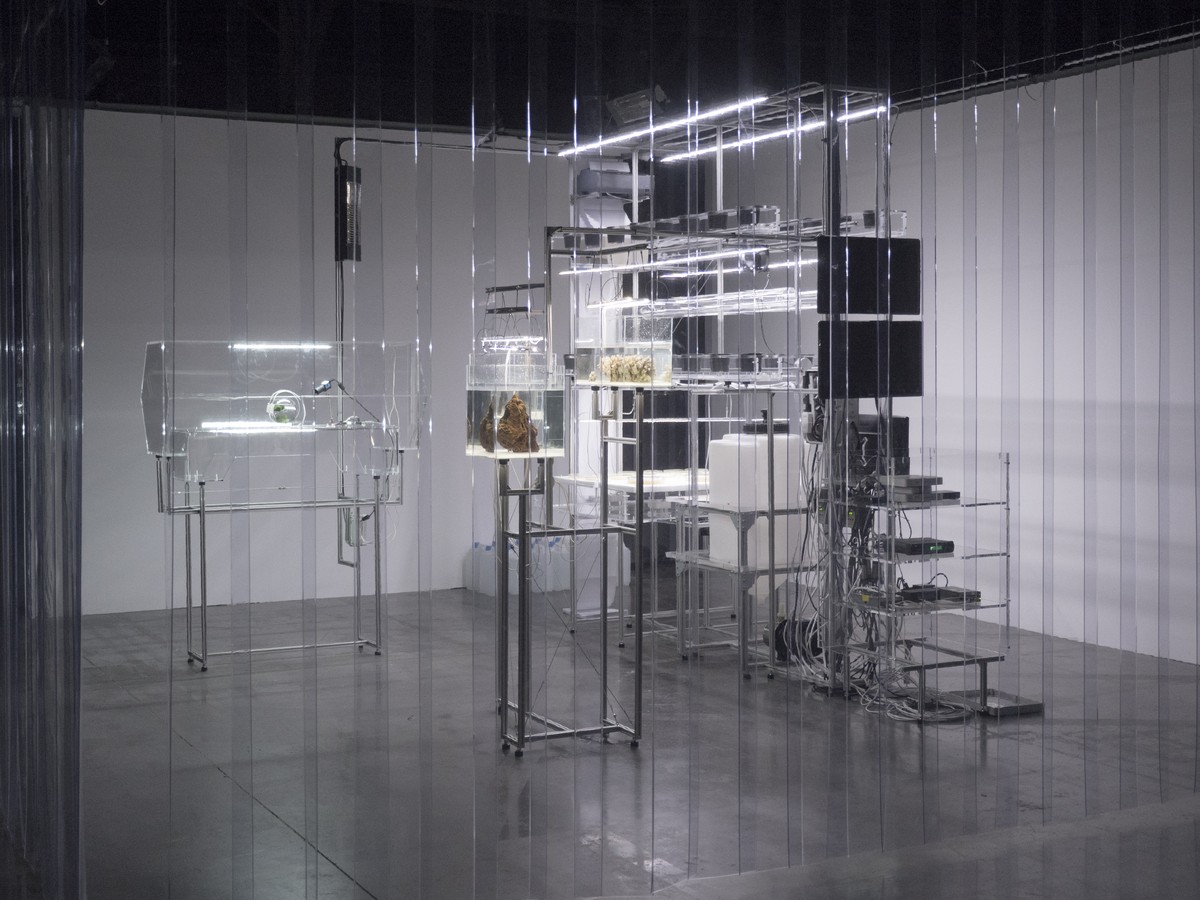 The Crystal & the Blind