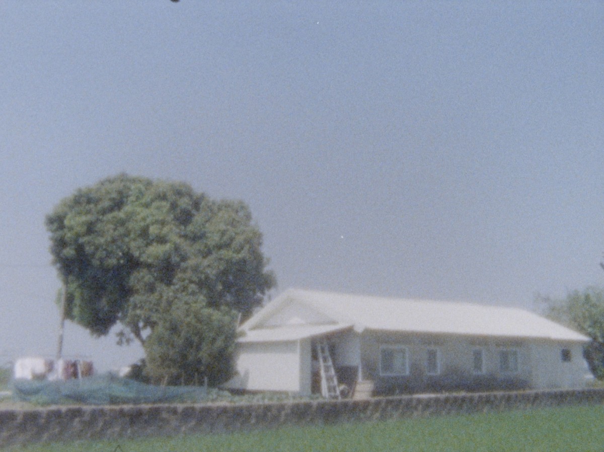 Last year when the train passed by