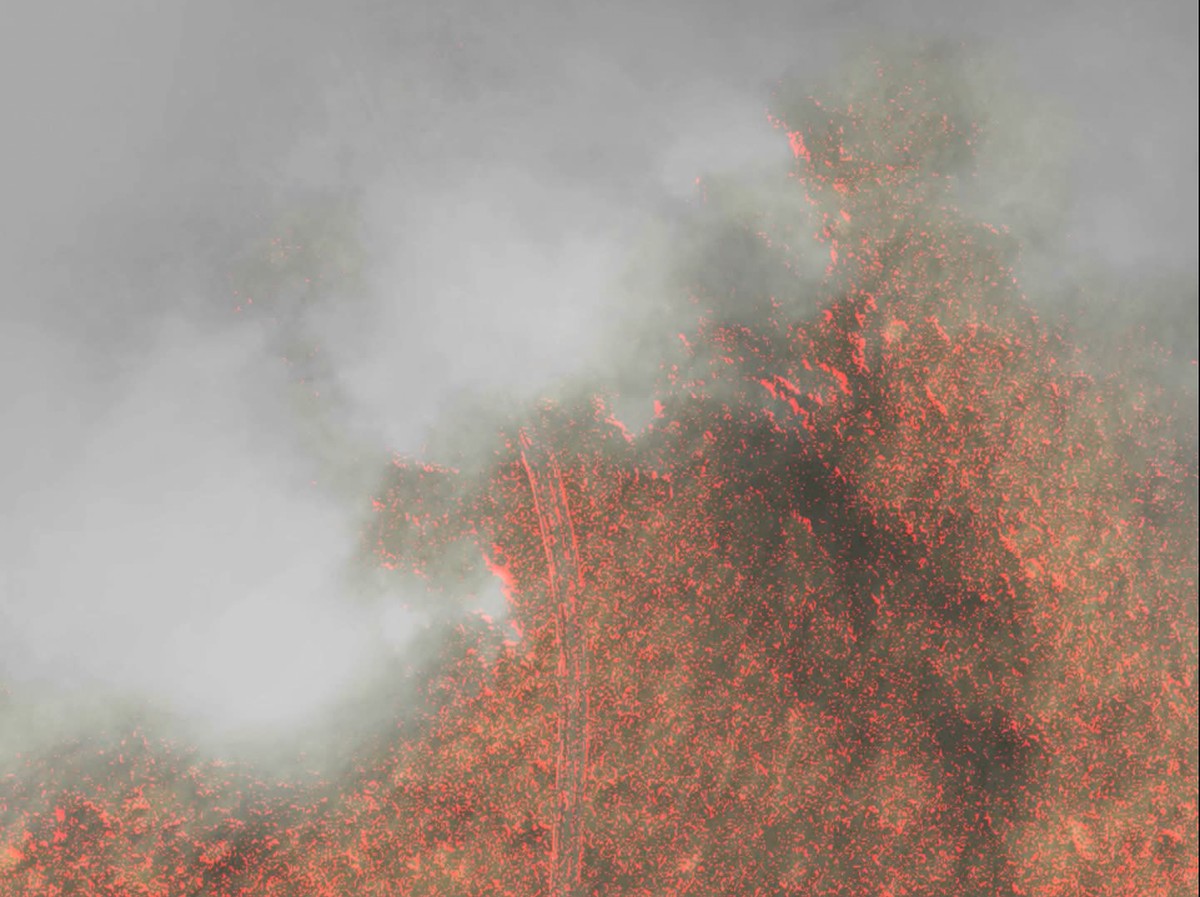 Why are they equipped with eyes?