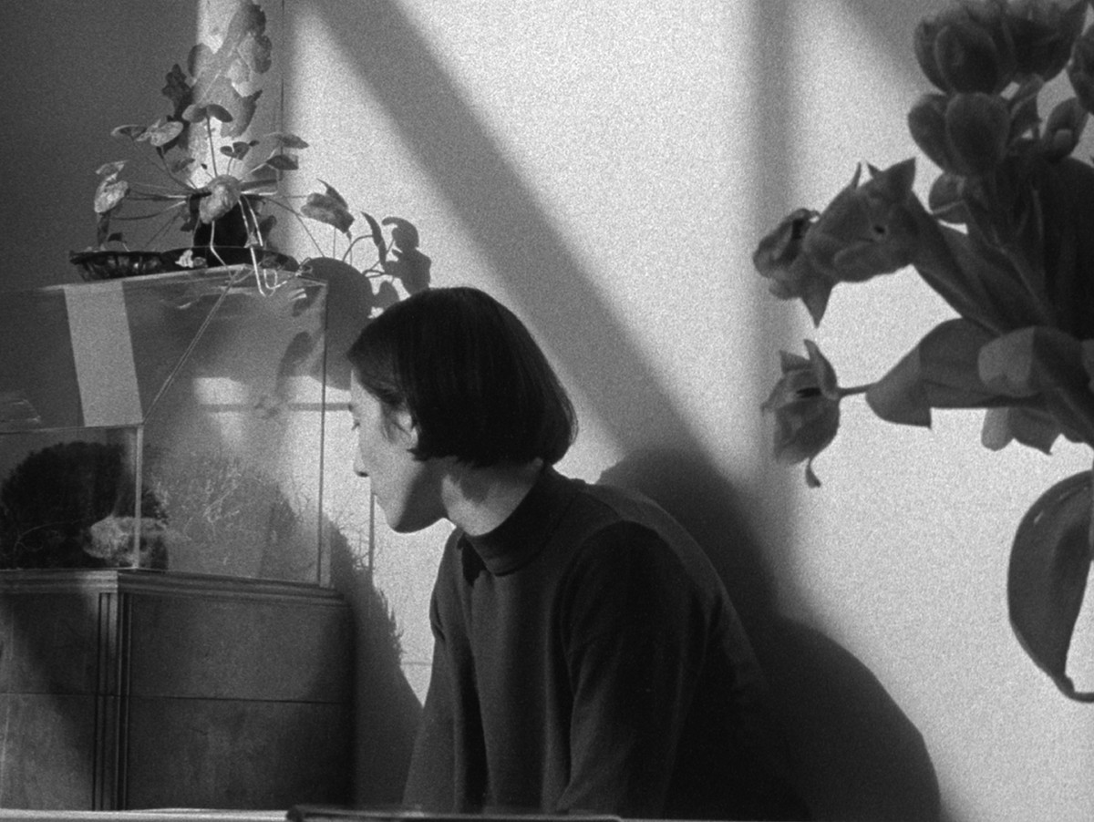 La lyre à jamais illustra le taudis