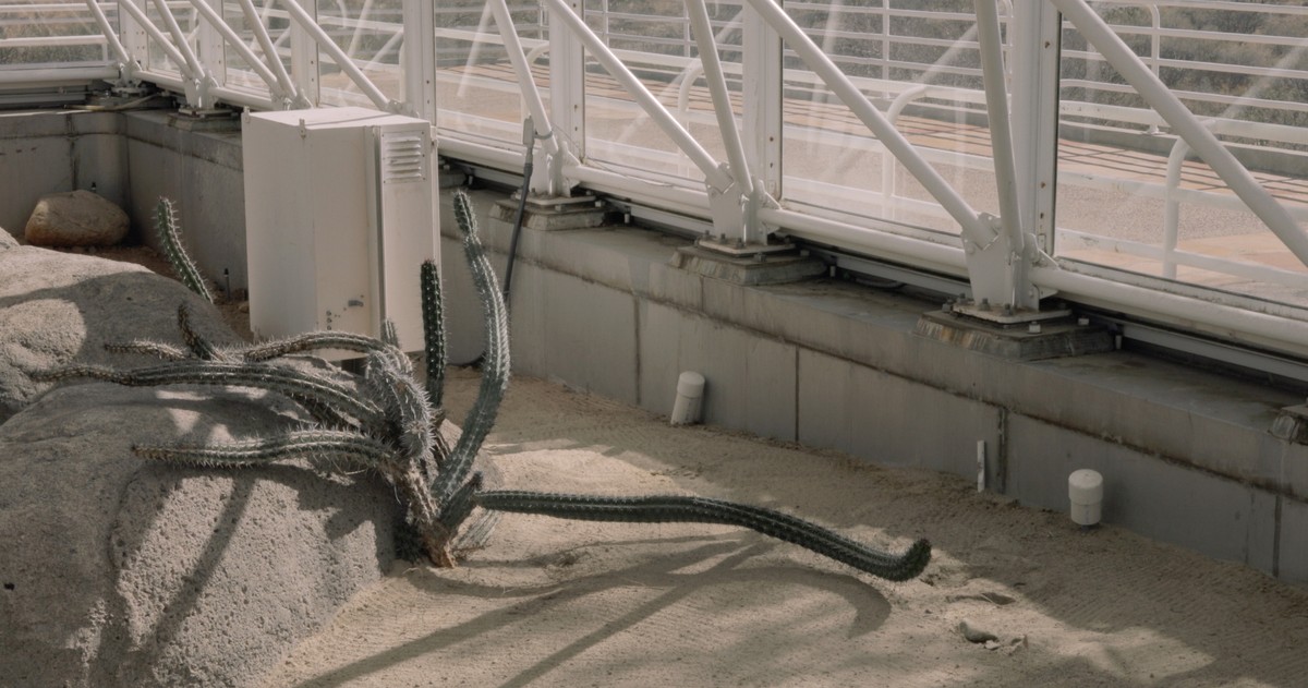 The Crystal & the Blind