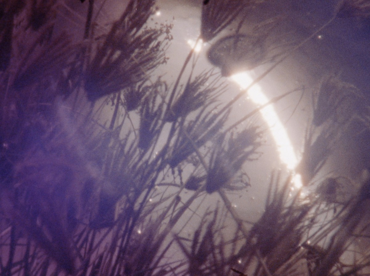 Last year when the train passed by