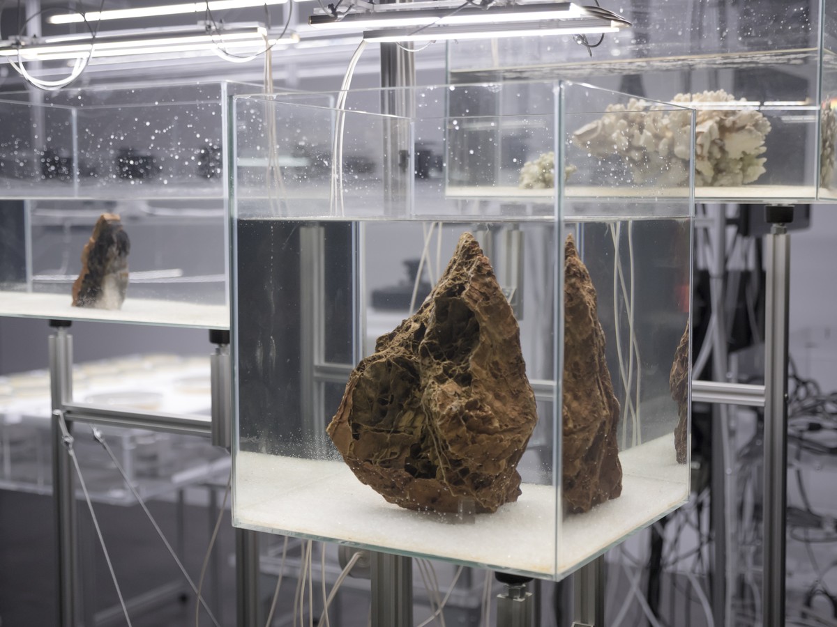 The Crystal & the Blind