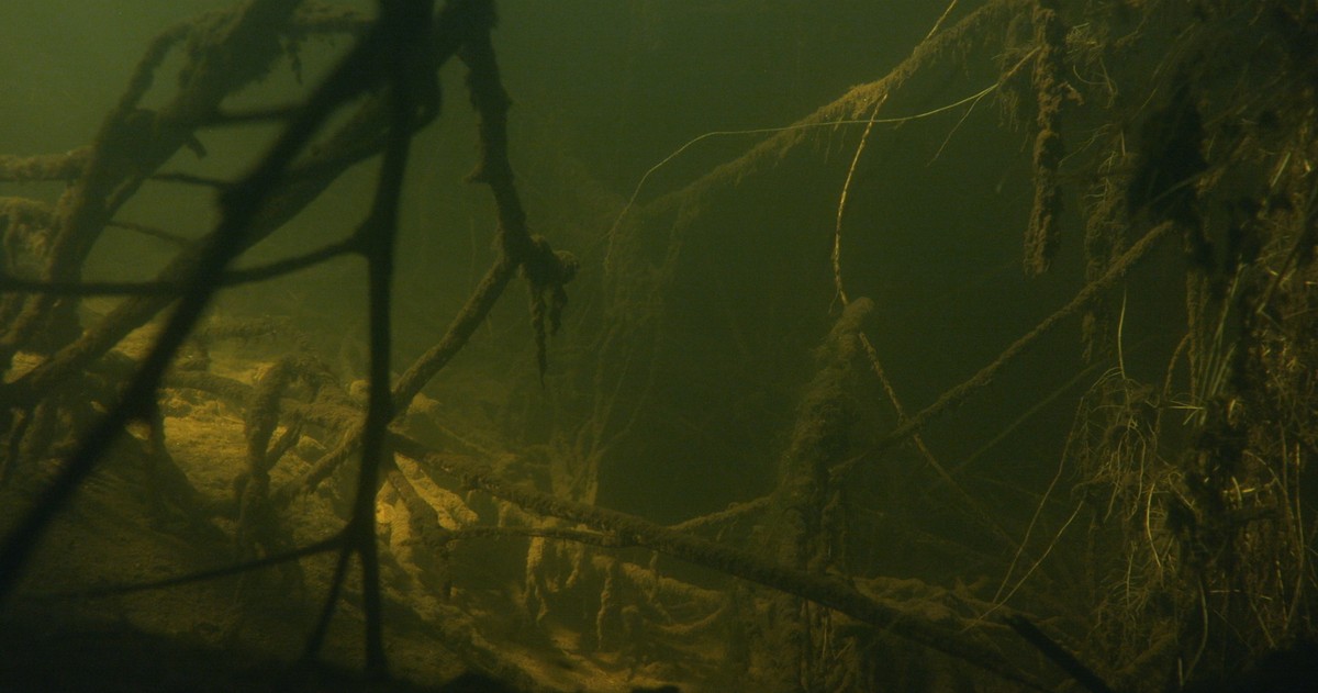 The Crystal & the Blind