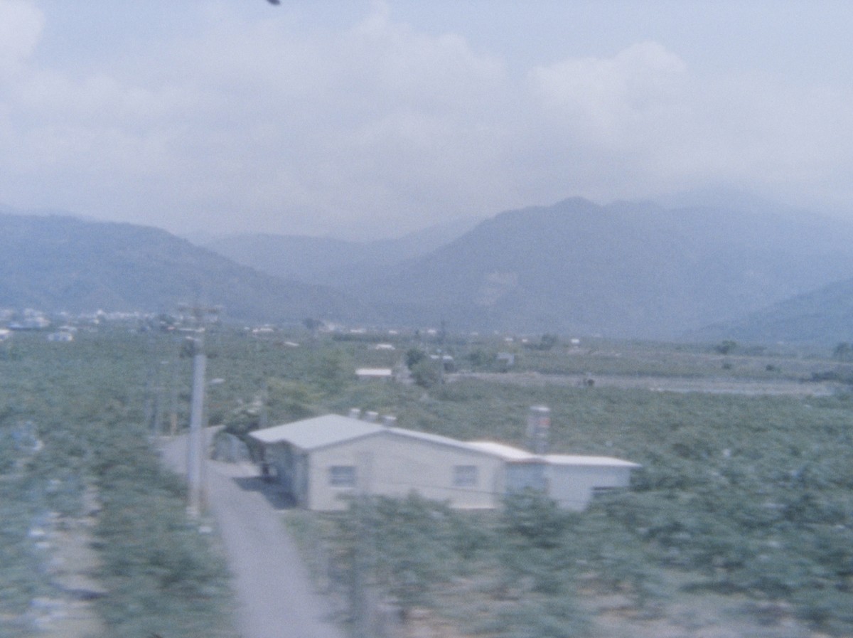 Last year when the train passed by