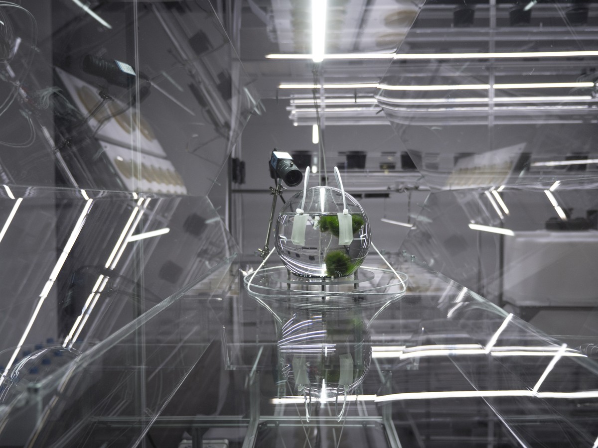 The Crystal & the Blind