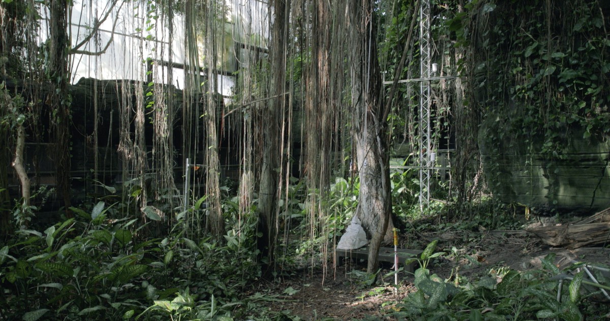 The Crystal & the Blind