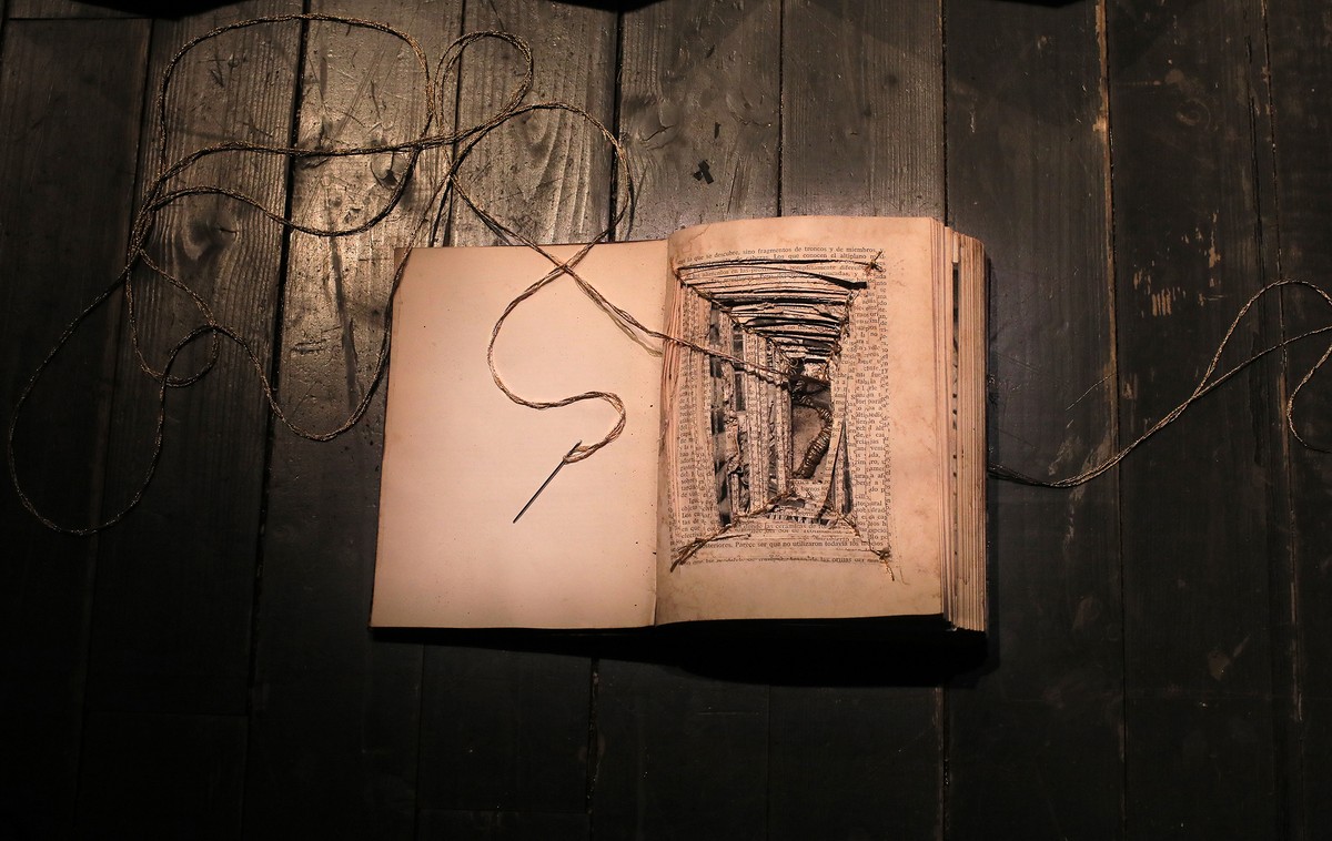 Resiliencia (Résilience)