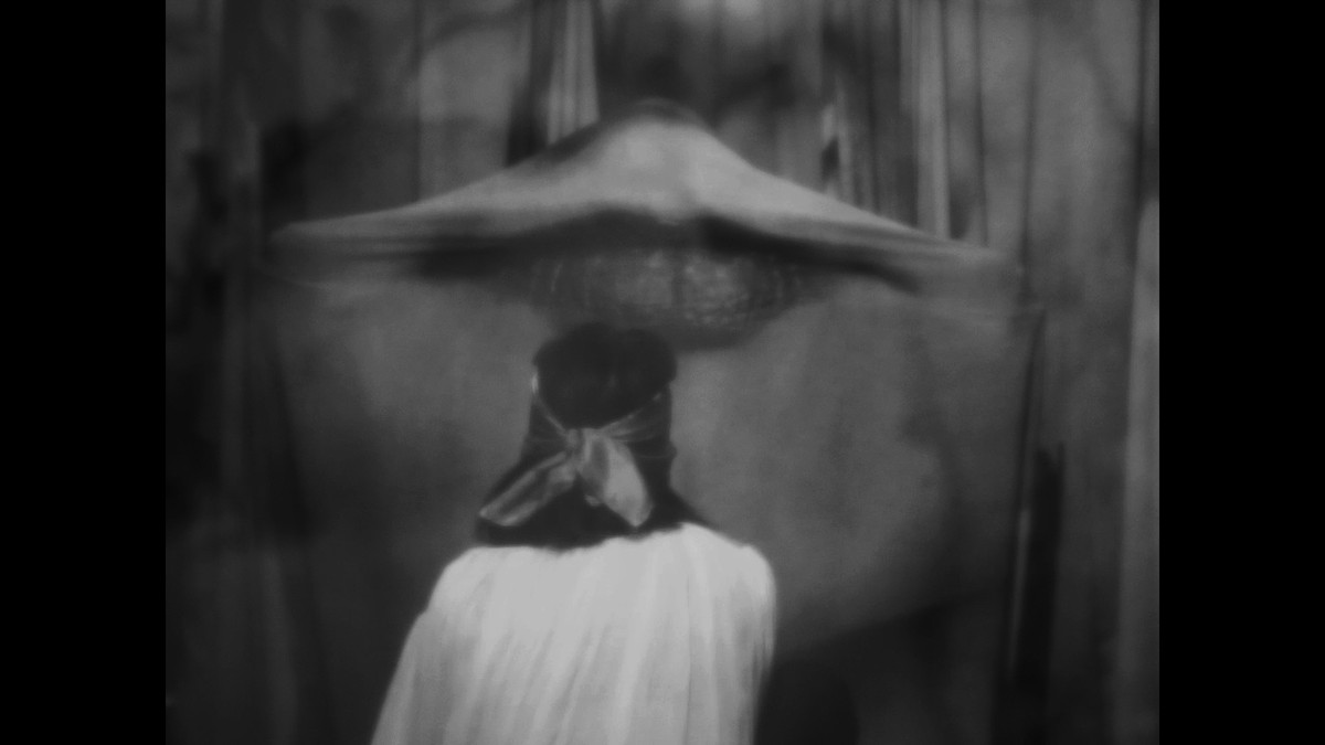 Insemnopedy I: The Dream of Victor F.