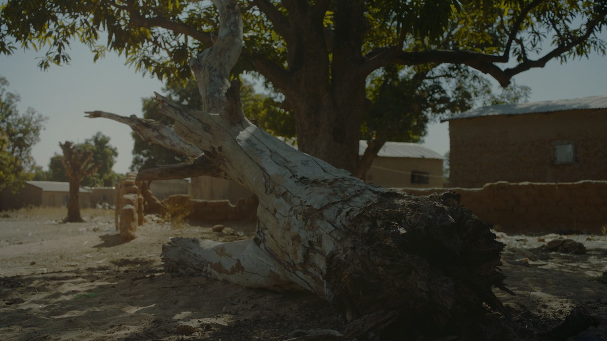 Gwacoulou, Le foyer traditionnel