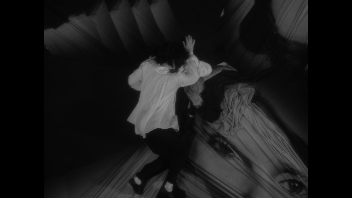 Insemnopedy I: The Dream of Victor F.