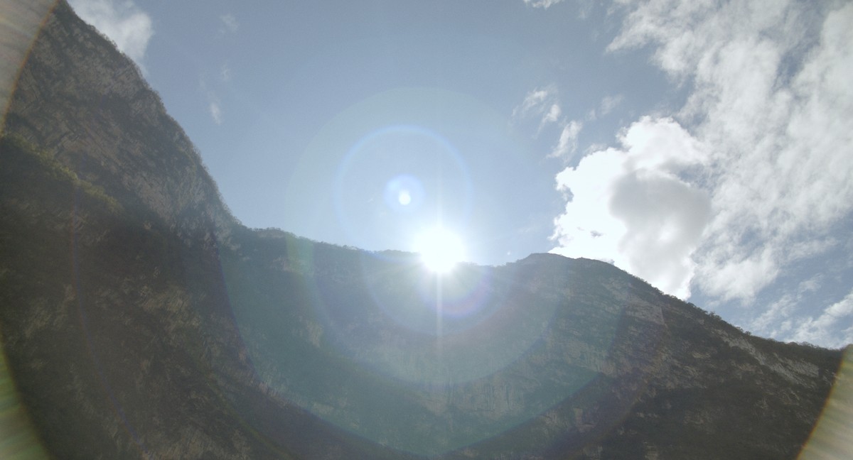 Dana, Carnaval y Tzompantli