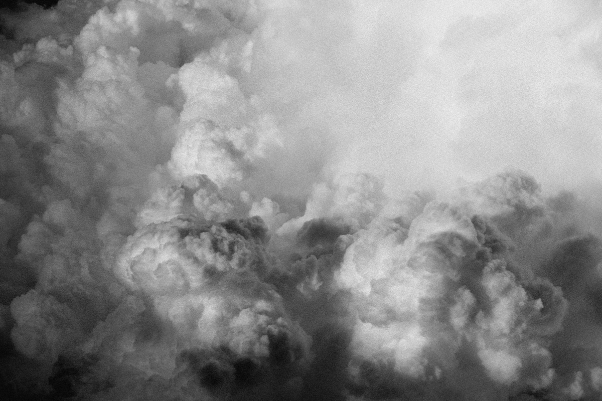 D’après le Jardin