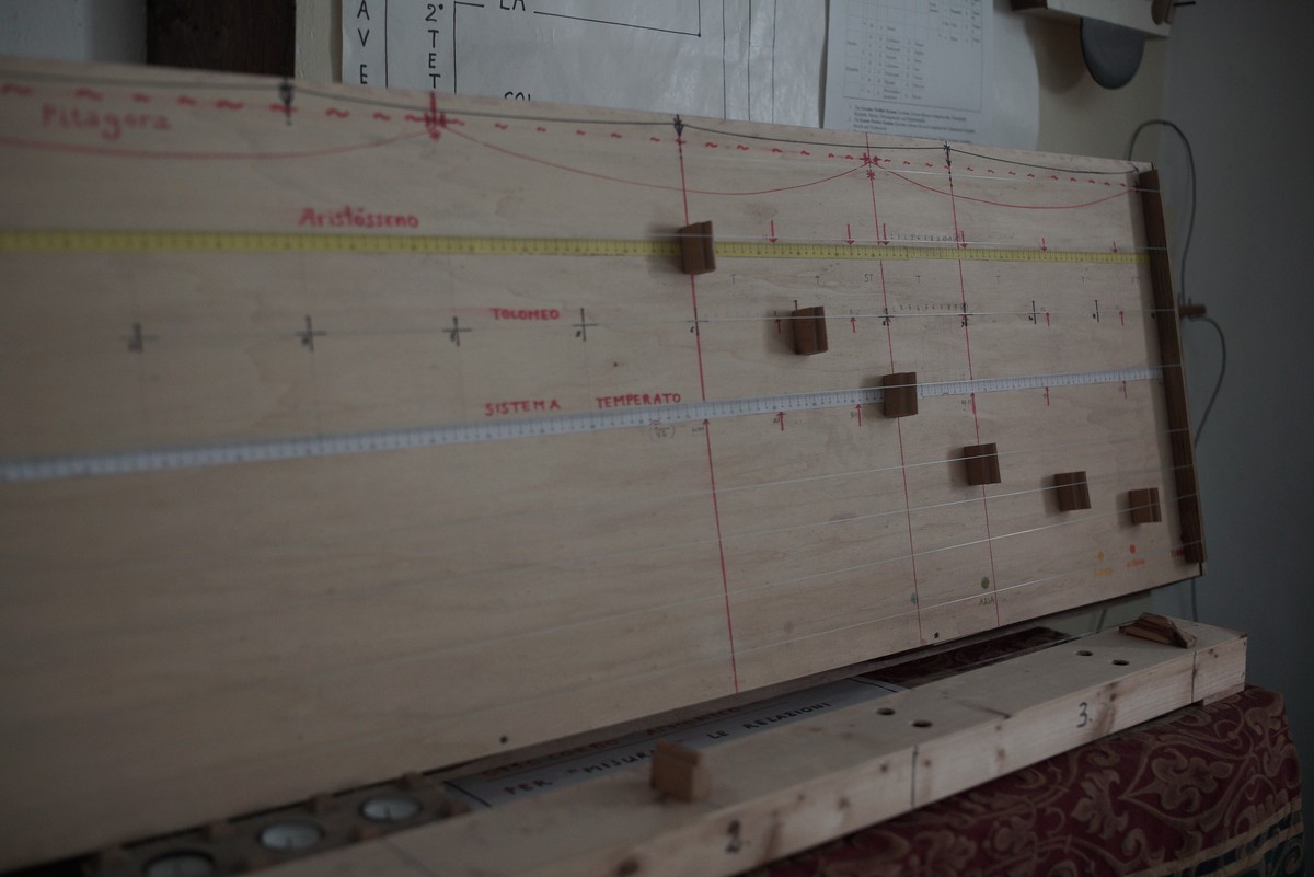 D’après le Jardin