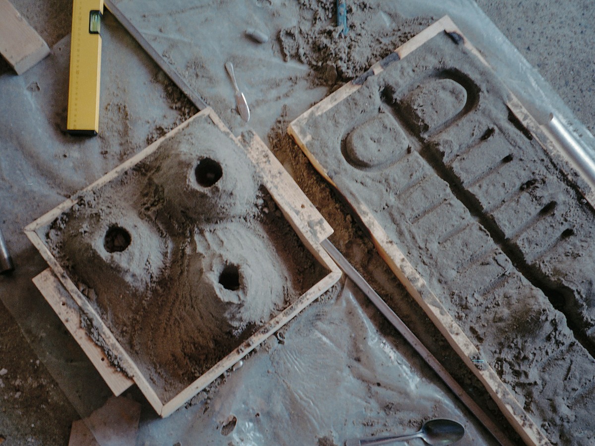 Werviqaceae / Antenne botanique