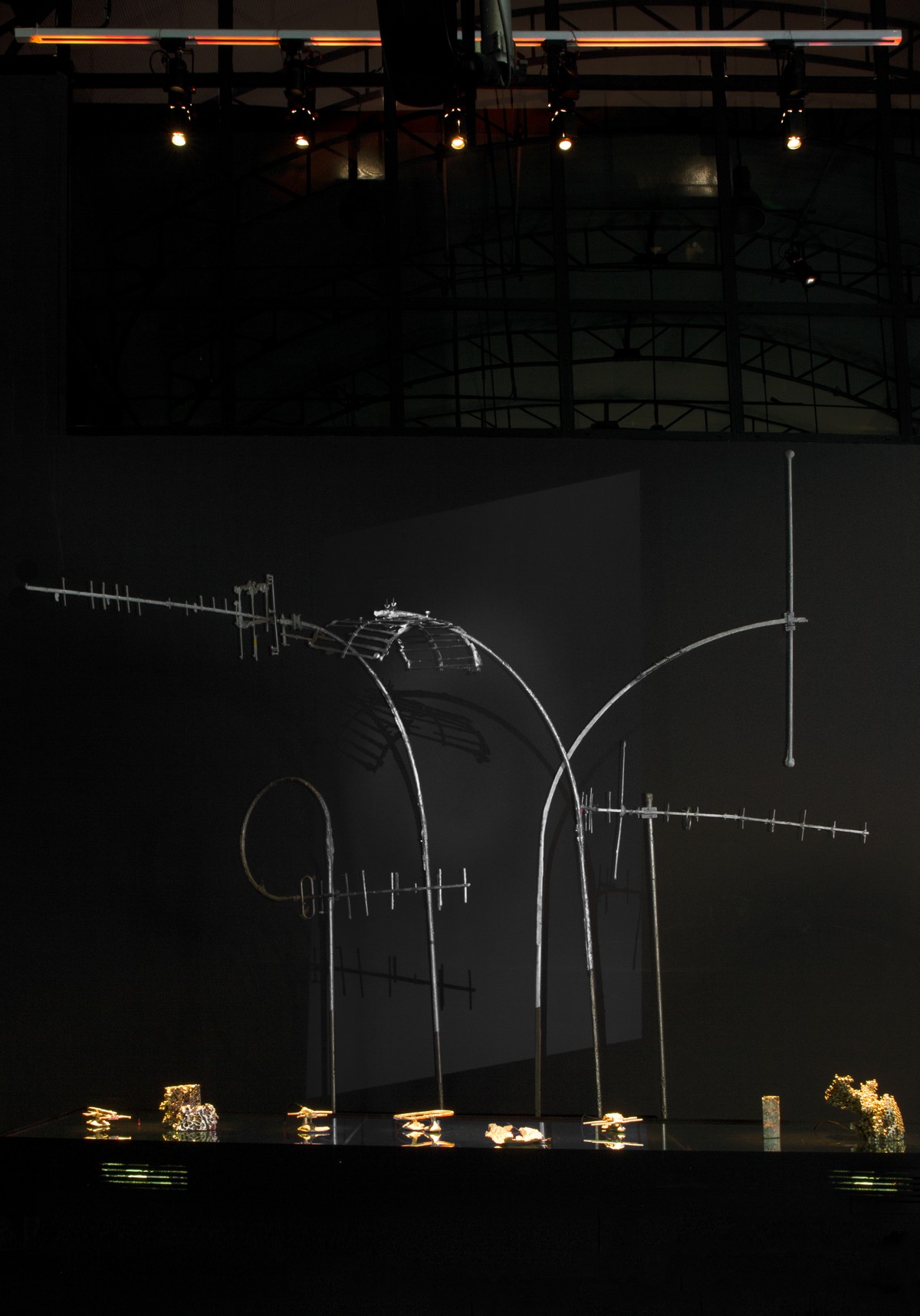 Werviqaceae / Antenne botanique