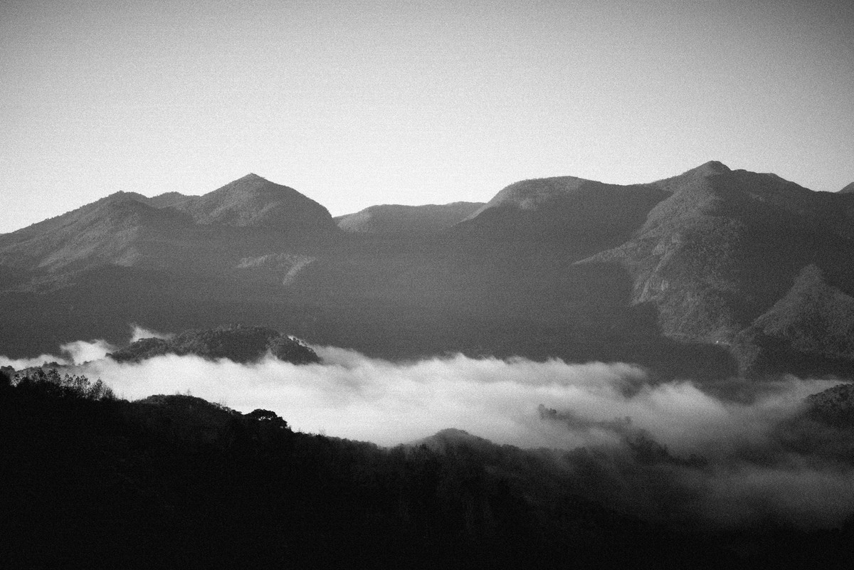 D’après le Jardin