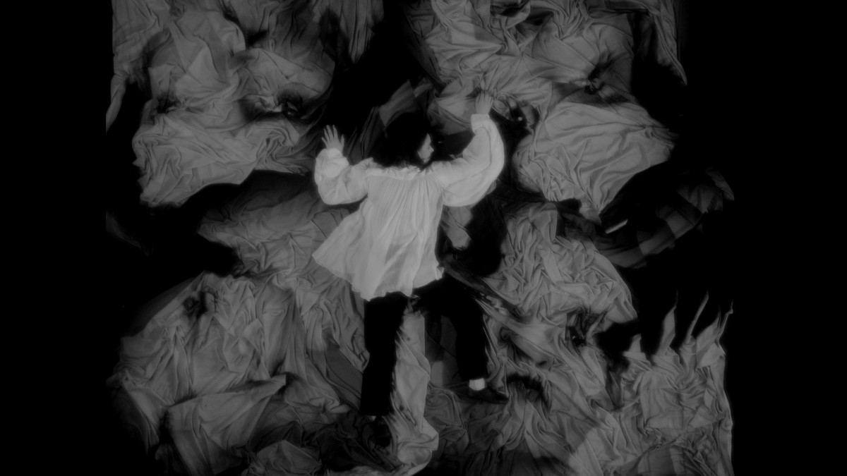 Insemnopedy I: The Dream of Victor F.