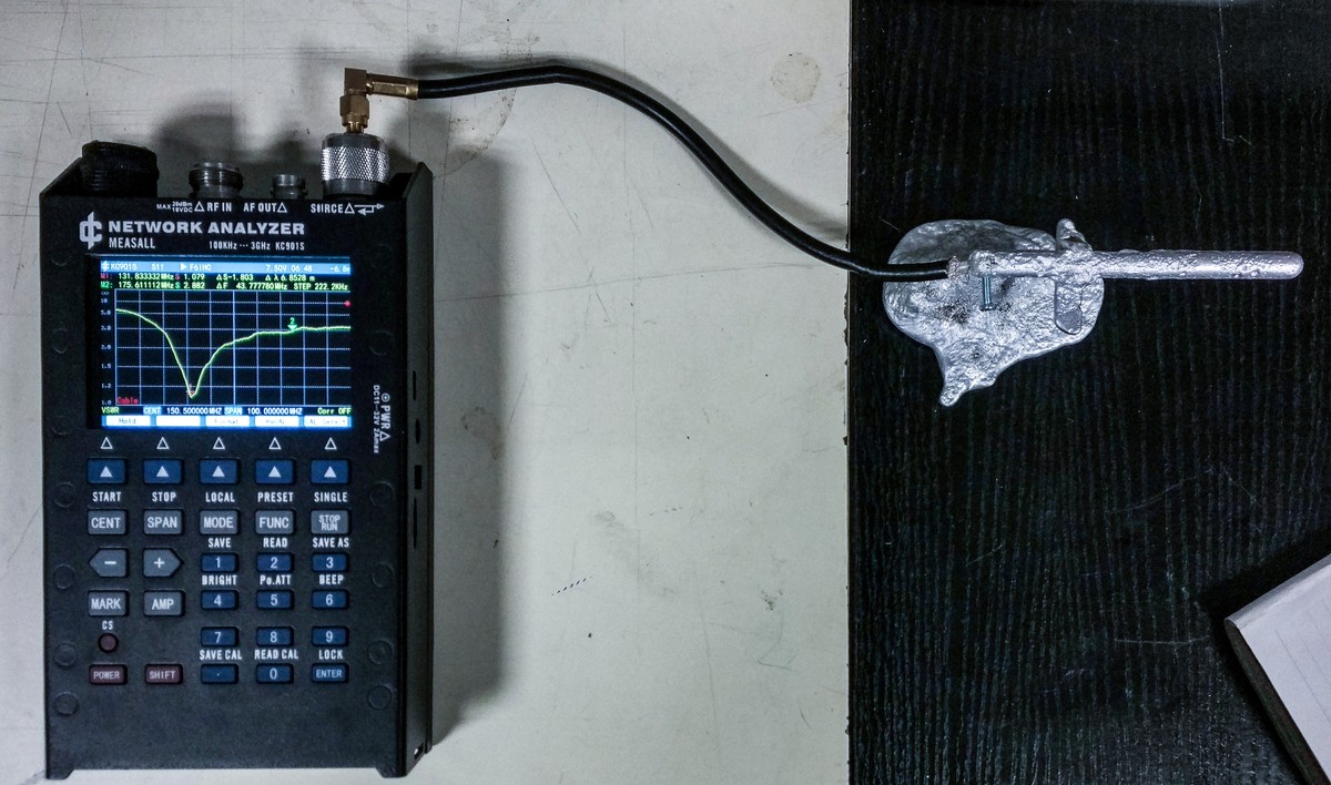 Werviqaceae / Antenne botanique