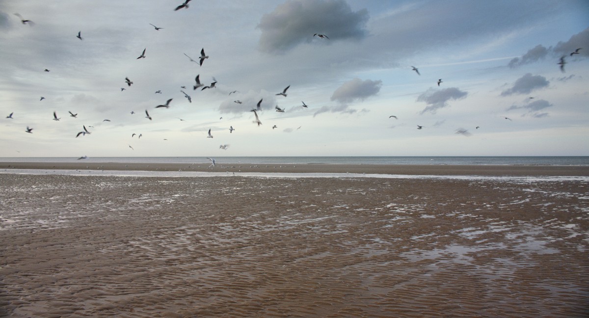 Dana, Carnaval y Tzompantli