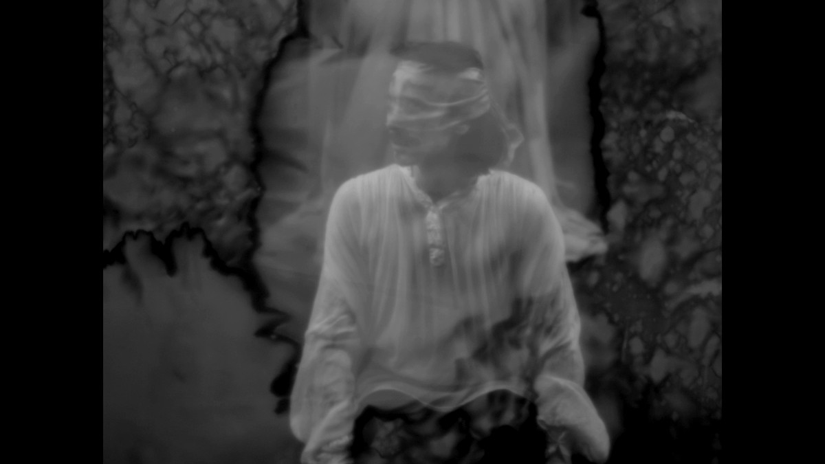 Insemnopedy I: The Dream of Victor F.