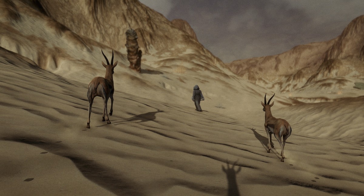 Ce n’était pas la bonne montagne, Mohammad