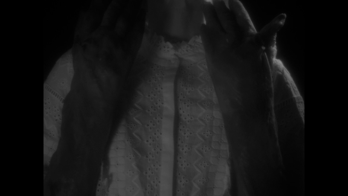 Insemnopedy I: The Dream of Victor F.