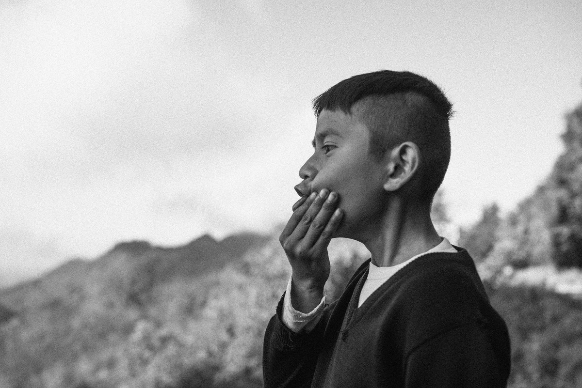 D’après le Jardin