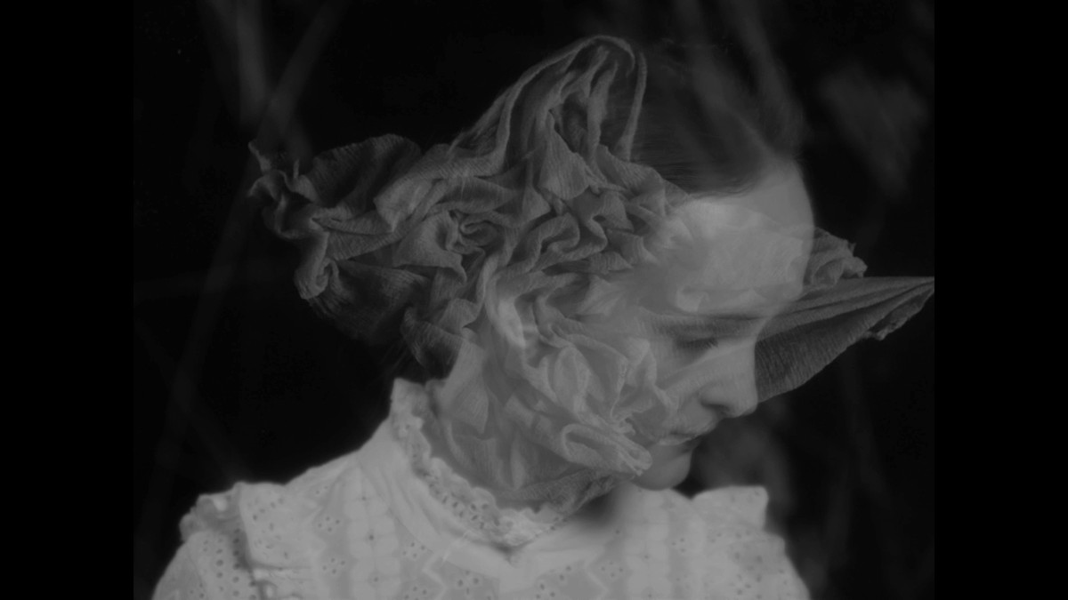 Insemnopedy I: The Dream of Victor F.