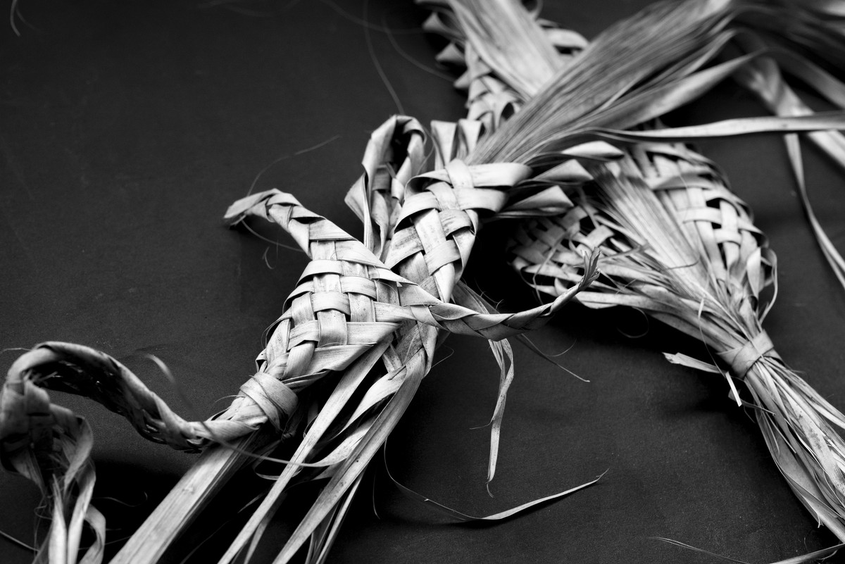 D’après le Jardin