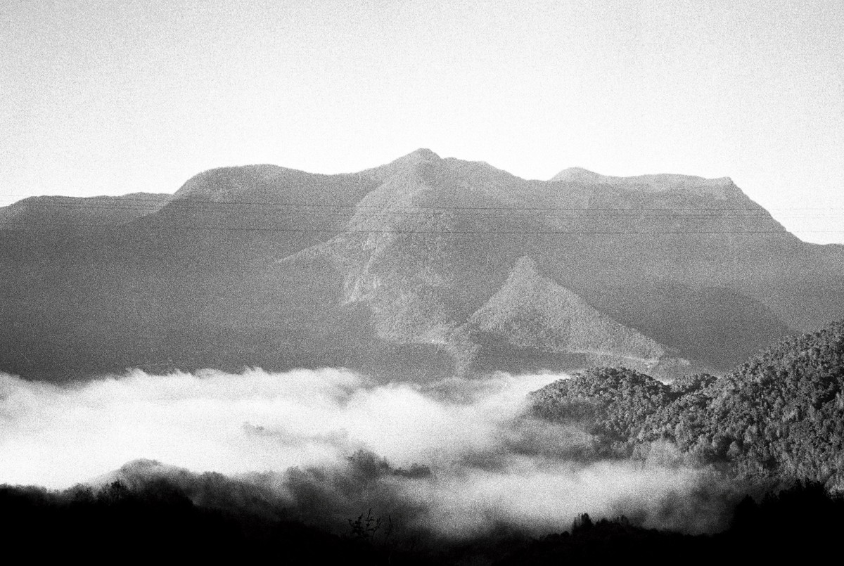 D’après le Jardin
