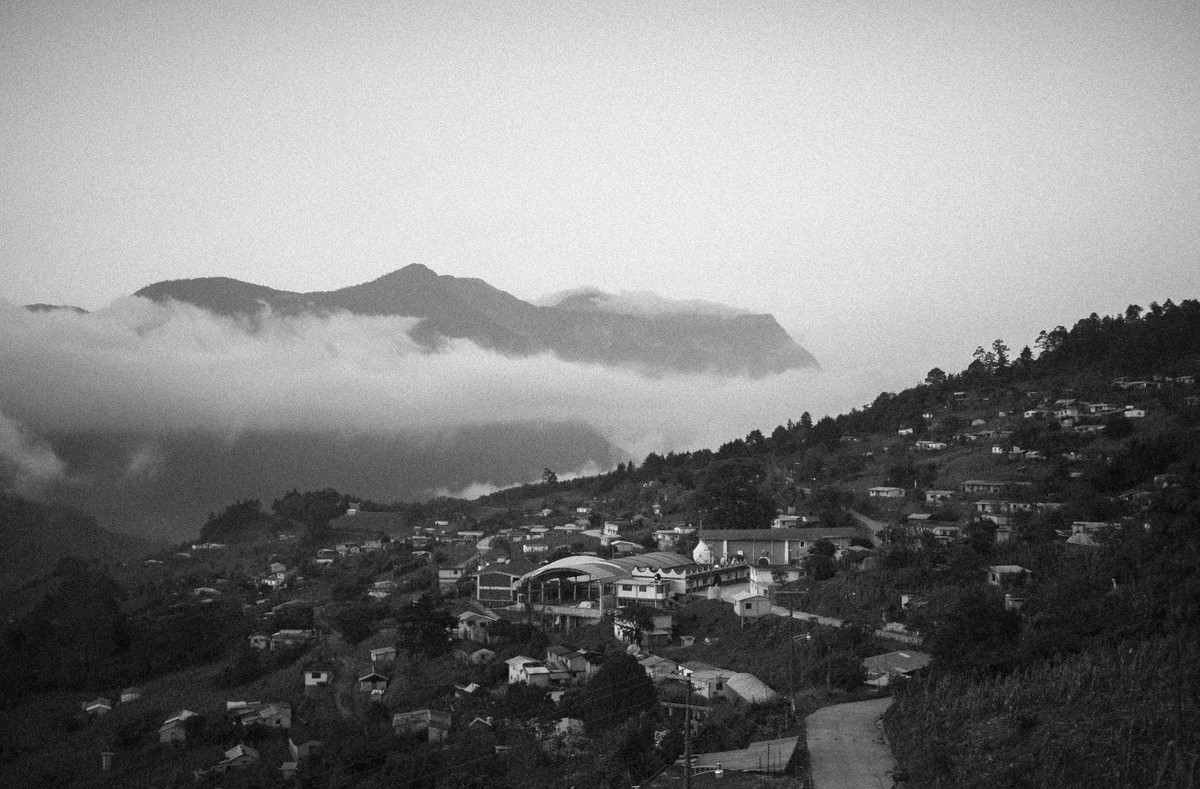 D’après le Jardin