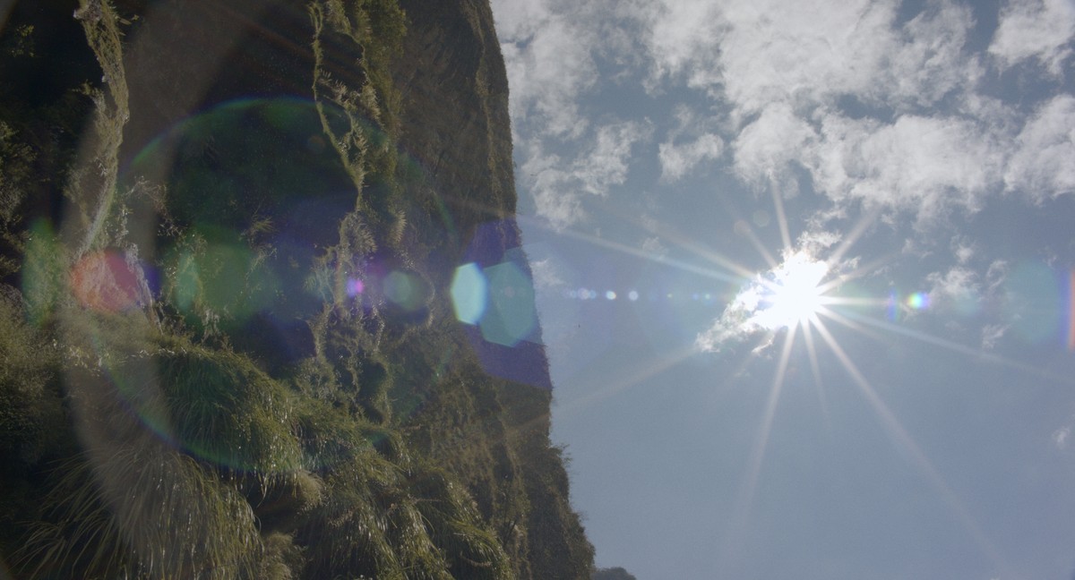 Dana, Carnaval y Tzompantli