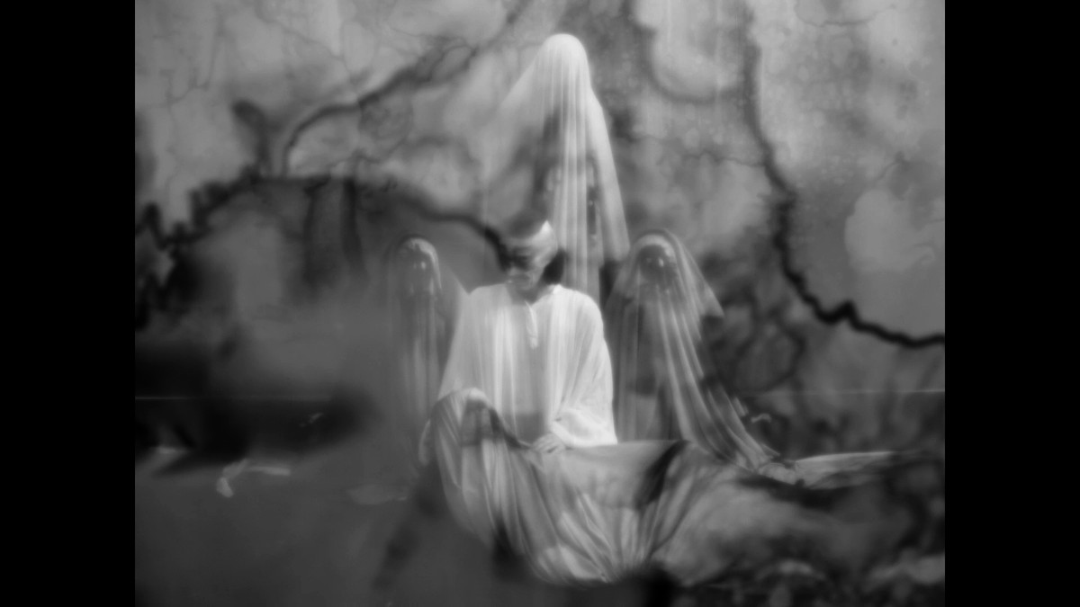 Insemnopedy I: The Dream of Victor F.